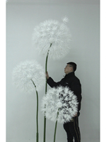 Elegan sederhana ukuran besar bunga Dandelion bahan kertas lucu kualitas tinggi layanan disesuaikan untuk dekorasi pernikahan