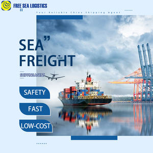 Agente de Frete Aéreo DDP, Transporte Marítimo Profissional de Logística Porta a Porta da China para EUA, UE e UAE - Product Image 3