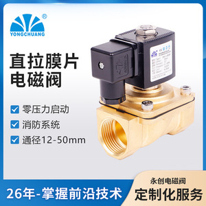 Yongchuang 2W41 Solenoid Valve 1 In Normally Closed Water Control For Pipeline Engineering - Product Image 4