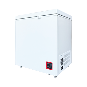 Congélateur solaire 100l/<span class=keywords><strong>200l</strong></span>/300l/400l pour petit commerce avec compresseur, porte simple, idéal pour climat chaud et stockage hors réseau - Product Image 3