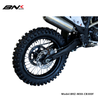 BRZ New Dirt Bike Electric Single Cylinder Air Cooling 4 Stroke 300cc Gas Fuel CDI Chain Motocross Enduro Off-Road >80km/h Adult
