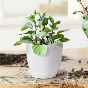 Vaso per Fiori in Plastica con Foro di Drenaggio, Sottovaso Durevole, Leggero, Ecologico, Colore Personalizzabile, Moderno per <span class=keywords><strong>Piante</strong></span> <span class=keywords><strong>da</strong></span> Interno - Product Image 5