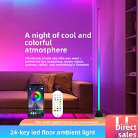 Lampe d'ambiance d'angle LED RGB en PVC, contrôlée par application, alimentée par USB, sur pied, pour meubles et chambres