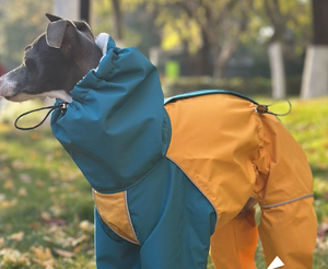 Personalizado nuevo sólido invierno moderno poliéster mantener caliente a prueba de viento impermeable al aire libre italiano <span class=keywords><strong>galgo</strong></span> mascota perro impermeable - Product Image 3