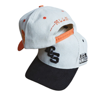 Op maat gemaakte promotionele vintage formele 5-delige baseballcap met 3D puff borduurwerk, fruitlogo, gebogen klep, twill, ademend en waterdicht