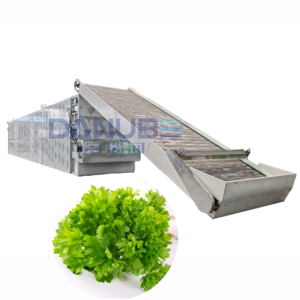 Sécheur à bande en maille de céleri de haute qualité, équipement de déshydratation pour la transformation du persil, machine de séchage du persil - Product Image 1