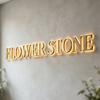 Letrero con Logotipo 3D Personalizado, Letras de Acero Inoxidable con Retroiluminación LED Acrílica, Letras Metálicas con Retroiluminación, Logotipo Comercial