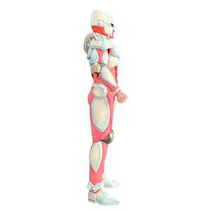 Costume <span class=keywords><strong>de</strong></span> cosplay <span class=keywords><strong>de</strong></span> personnage d'anime personnalisé haut <span class=keywords><strong>de</strong></span> gamme unisexe Crazy Diamond EVA+3D+Cuir unisexe - Product Image 5