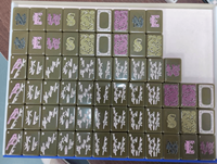 Ensemble de Mahjong Américain Moderne en Acrylique Rose Luxe, 160 Tuiles Entièrement Gravées, Complet, Portable avec Pieds Pliants, pour 4 Joueurs, En Stock, Livraison Rapide