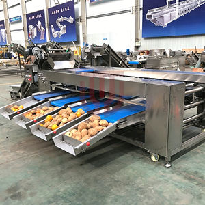 Machine de tri à rouleaux pour fruits et légumes secs (pommes, figues, kiwis, prunes, fruits du dragon) de tailles commerciales, grandes et petites - Product Image 5