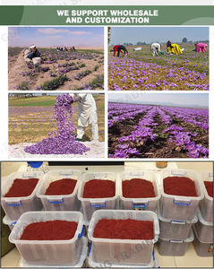 Zafferano Essiccato Originale di Qaenat, Fornitore di Crocus Sativus in Cina - Product Image 5