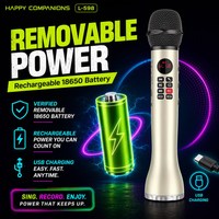 Microphone sans fil OEM avec moniteur/écran, microfono inalambrico profesional, système de karaoké, haut-parleur tout-en-un