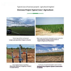 Daringfish 2026 Sistemas <span class=keywords><strong>de</strong></span> Riego por Aspersión <span class=keywords><strong>de</strong></span> Pivote Central <span class=keywords><strong>de</strong></span> 100 ha para una Agricultura Eficiente - Product Image 3