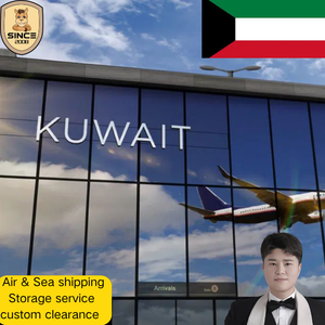 Expédition express rapide et efficace de Chine vers la Jordanie, le Koweït, Oman, Israël, l'Irak avec services de suivi d'expédition express à bas prix - Product Image 3