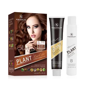 OEM Professional Ammonia-Free Hair Color Dye Factory's Super Quality Semi-permanent Salon Private Label Cream for Hair Dyeing