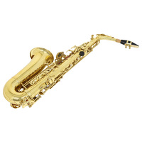Beginner's Degraded E-Tone Alto Adult Saxophone Woodwind Instrument for Cross-Border Source