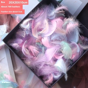 Piume d'Oca Soffici di Alta Qualità all'Ingrosso per Artigianato e Decorazioni Matrimoniali - Product Image 2