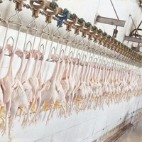 Machine d'abattage de poulets pour abattoir, capacité 5000 volailles par heure, prix