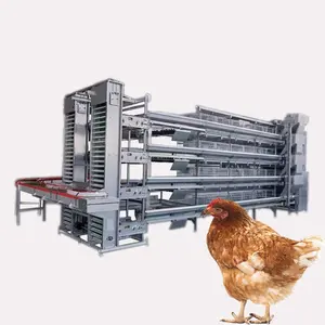 H Type 3 Tire Automatic Poultry Farm Equipment Battery Egg Layer Chicken Cage for Laying Hens