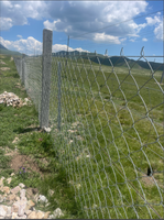 Clôture de ferme de haute qualité en fil de fer tissé galvanisé à chaud avec articulations à charnière pour la sécurité du bétail