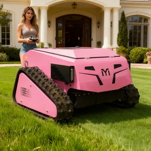 Wholesale Price GGasoline Garden <b>Riding</b> Lawn <b>Mower</b> Lawnmower for Sale - Product Image 6