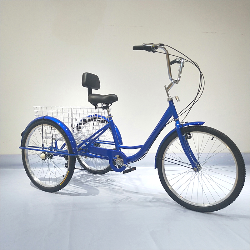 OEM Custom Adult Tricycle - 20 Inch Bike with 3 Wheels