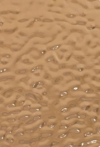 Panel de pared de fibra tejida <span class=keywords><strong>Demax</strong></span> Hogh, panel de pared de chapa de madera, panel de pared decorativo de carbón de bambú - Product Image 6