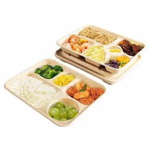 Custom Design Eco-friendly 4/5/6 Compartment Disposable Bagasse Biodegradable Food Tray With Lid