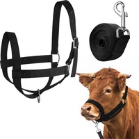 Licol pour vaches, licols pour bétail, licol réglable pour veau, corde de guidage, fournitures d'entraînement en nylon pour chevaux miniatures, ânes, chèvres, poulains