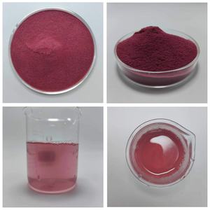 ผงสกัดจากเชอร์รี่เบอร์รี่ธรรมชาติที่ละลายน้ำได้บริสุทธิ์ผงอาโรเนียเบอร์รี่ธรรมชาติ - Product Image 3