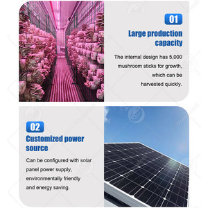 ORME, солнечная энергия, 40-футовый контейнер, фермерский дом, автоматическое оборудование для выращивания грибов - Product Image 2