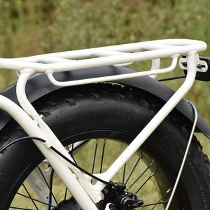Vélo électrique pliant avec gros pneus de 20 pouces, RaiderExpand-45F w, 48v, 750 - Product Image 3