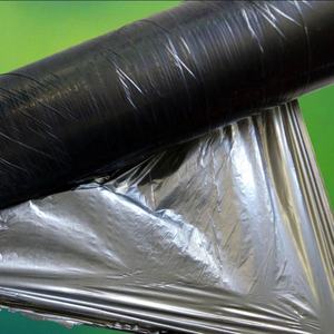 Film de <span class=keywords><strong>paillage</strong></span> biodégradable en plastique pour les cultures agricoles, les légumes, les <span class=keywords><strong>tomates</strong></span> et les fraises noires, vente chaude - Product Image 3