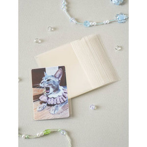 Polku Mini Album fotografico con copertura laterale in PVC 40 fogli di plastica trasparente per la raccolta delle monete - Product Image 1