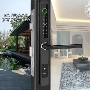 Spot Supply Smart Gate Lock Fingerprint Biometric Smart Ttlock Handle Door Lock