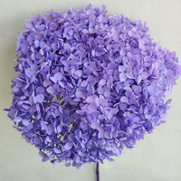 Vente en gros de fleurs séchées, hortensia préservé naturel, fleur d'hortensia rose anna pour la décoration de la maison et du mariage