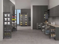 Panier coulissant en métal gris à deux niveaux pour armoire de cuisine avec poignées latérales et rails coulissants