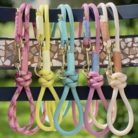 Laisse personnalisée d'escalade en montagne de couleurs multiples pour l'entraînement Laisse pour chien ronde en nylon faite à la main avec nœuds et accessoires en métal