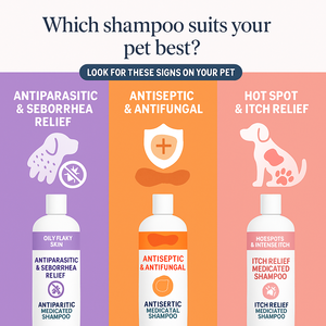Shampoo <span class=keywords><strong>antifongique</strong></span> pour chiens et chats de marque privée pour soins cliniques |   Formule antiseptique pour les peaux qui démangent, qui squame et qui sont irritées OEM/ODM - Product Image 5