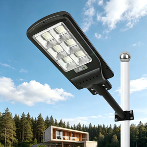 Farola Solar Costera de Alta Resistencia con Carcasa de ABS |   Paneles Solares de 4 Lados |   Solución de Ingeniería Resistente al Viento y a la Corrosión - Product Image 5