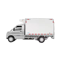 Camionnette électrique Wuling 41,86 kWh à plateau plat, 2 places, autonomie 250-300 km, pour le transport de marchandises