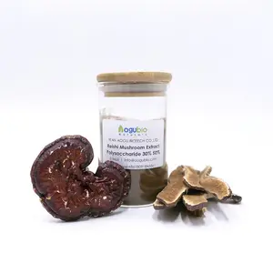 High Quality Organic Ganoderma Lucidum Extract Reishi Mushroom Extract Powder Polysaccharides 40%