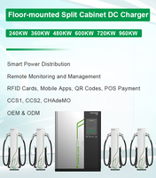 Cargador de CC para Vehículos Eléctricos Personalizable con Cable de Carga de 5 Metros y Conector Multistándar