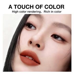 LOZEE, proveedor mayorista <span class=keywords><strong>de</strong></span> pintalabios <span class=keywords><strong>mate</strong></span> <span class=keywords><strong>de</strong></span> etiqueta privada, textura <span class=keywords><strong>de</strong></span> terciopelo, alta calidad, no pegajoso, a granel, en stock - Product Image 5