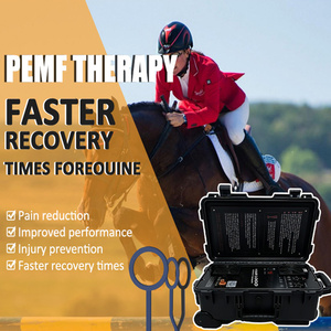 Máquina PEMF para Alivio del Dolor Corporal, Tapete Magneto PEMF para Fisioterapia, Dispositivo PEMF de Bucle para Terapia del Dolor en Caballos - Product Image 2