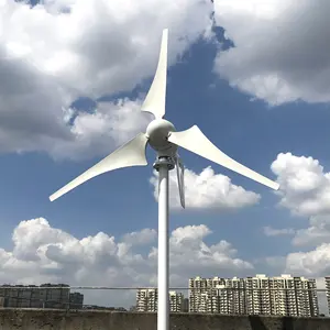 Generator Turbin Angin Sumbu Horizontal, Energi Bersih Gratis 12V/24V/48V 1000W dengan Harga Penjualan Langsung Pabrik