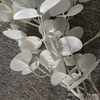 Guirlande artificielle d'eucalyptus argenté et blanc, feuilles en forme de pièce de monnaie, 1,8 m, guirlande suspendue, écologique, pour Noël, Pâques, Thanksgiving, décoration intérieure