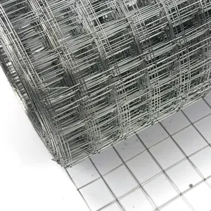 High Quality Farm fence Stainless steel 4x4 PVC coating/Galvanized Welded Wire Mesh For Bird Cage Snake Fence