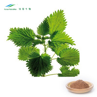 Poudre de feuilles d'ortie 100% naturelle pour compléments nutritionnels, extrait végétal