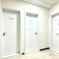Porte en polymère ignifuge personnalisée BST, homologuée EN, résistance au feu 30/60/90 minutes, pour chambre, bureau, école